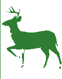 Antilope · vert